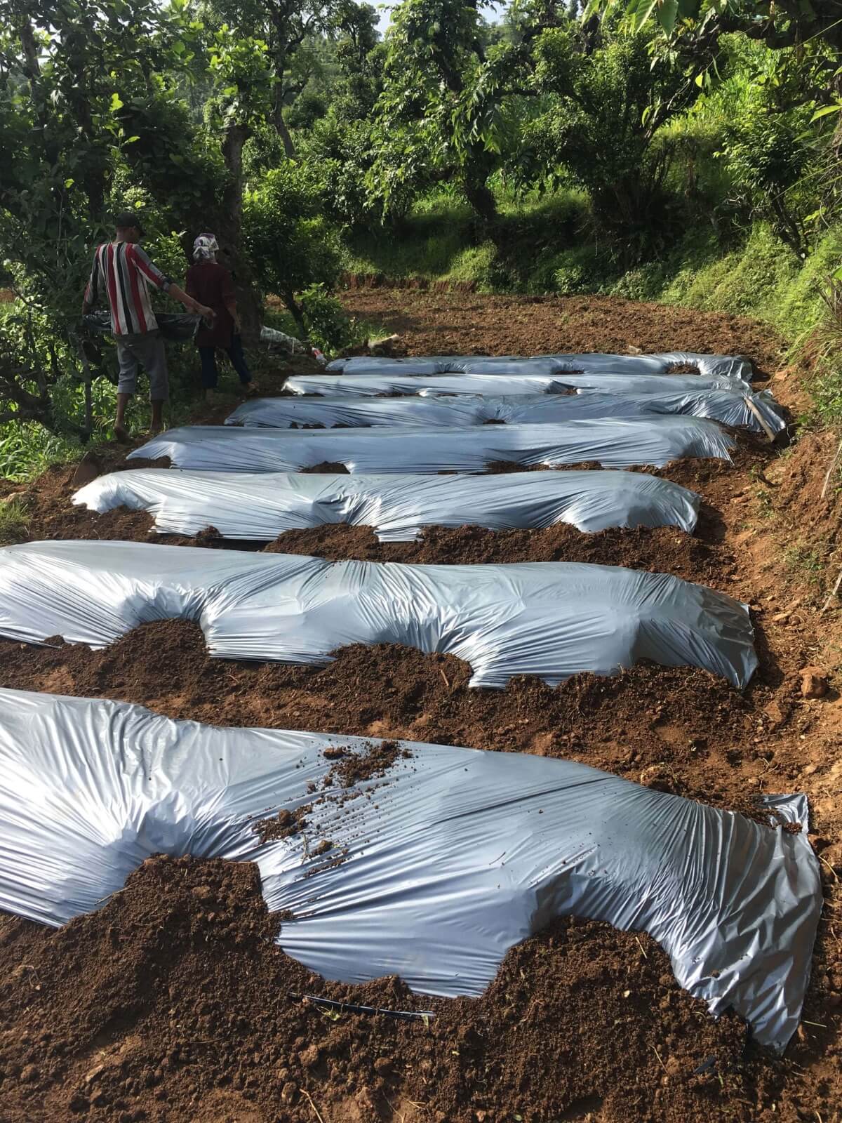 Farm work in Pokhara